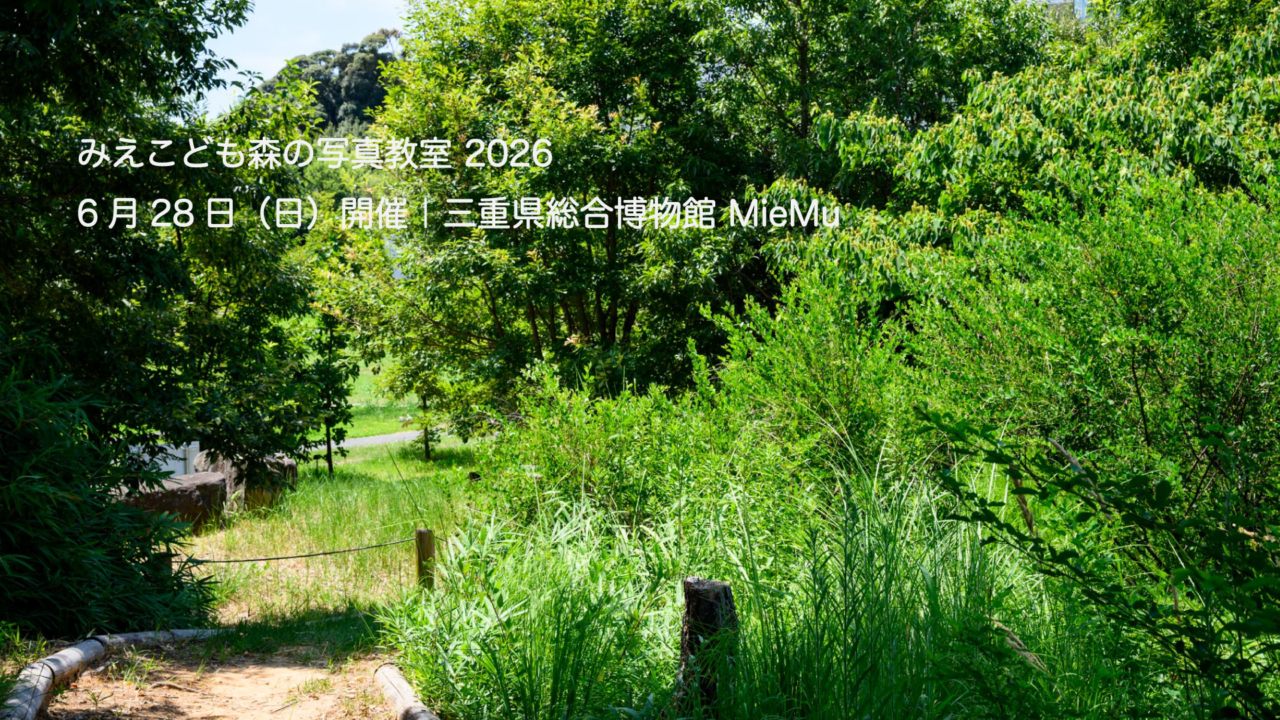 三重県総合博物館 MieMu のミュージアムフィールドの森