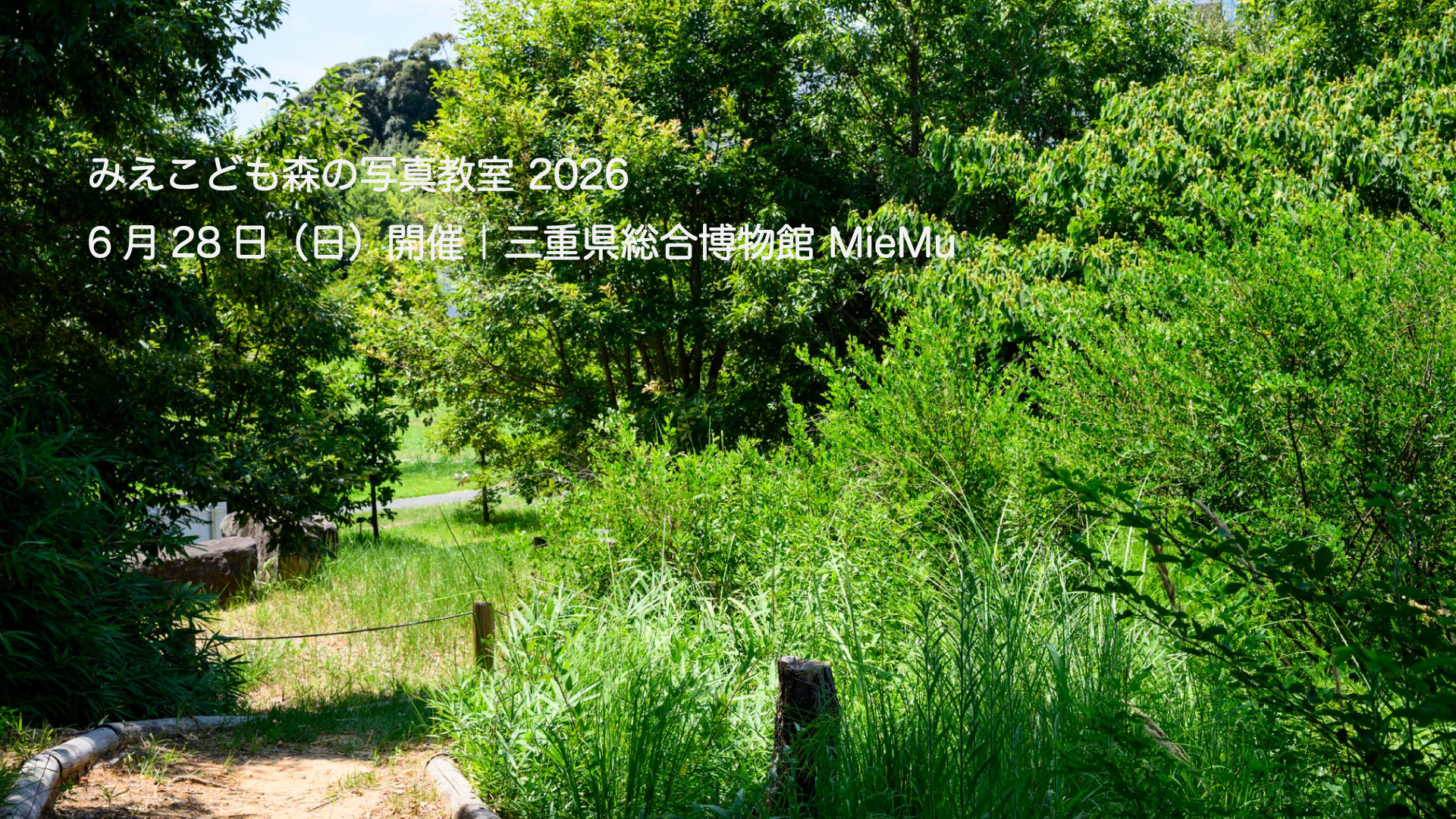 三重県総合博物館 MieMu のミュージアムフィールドの森